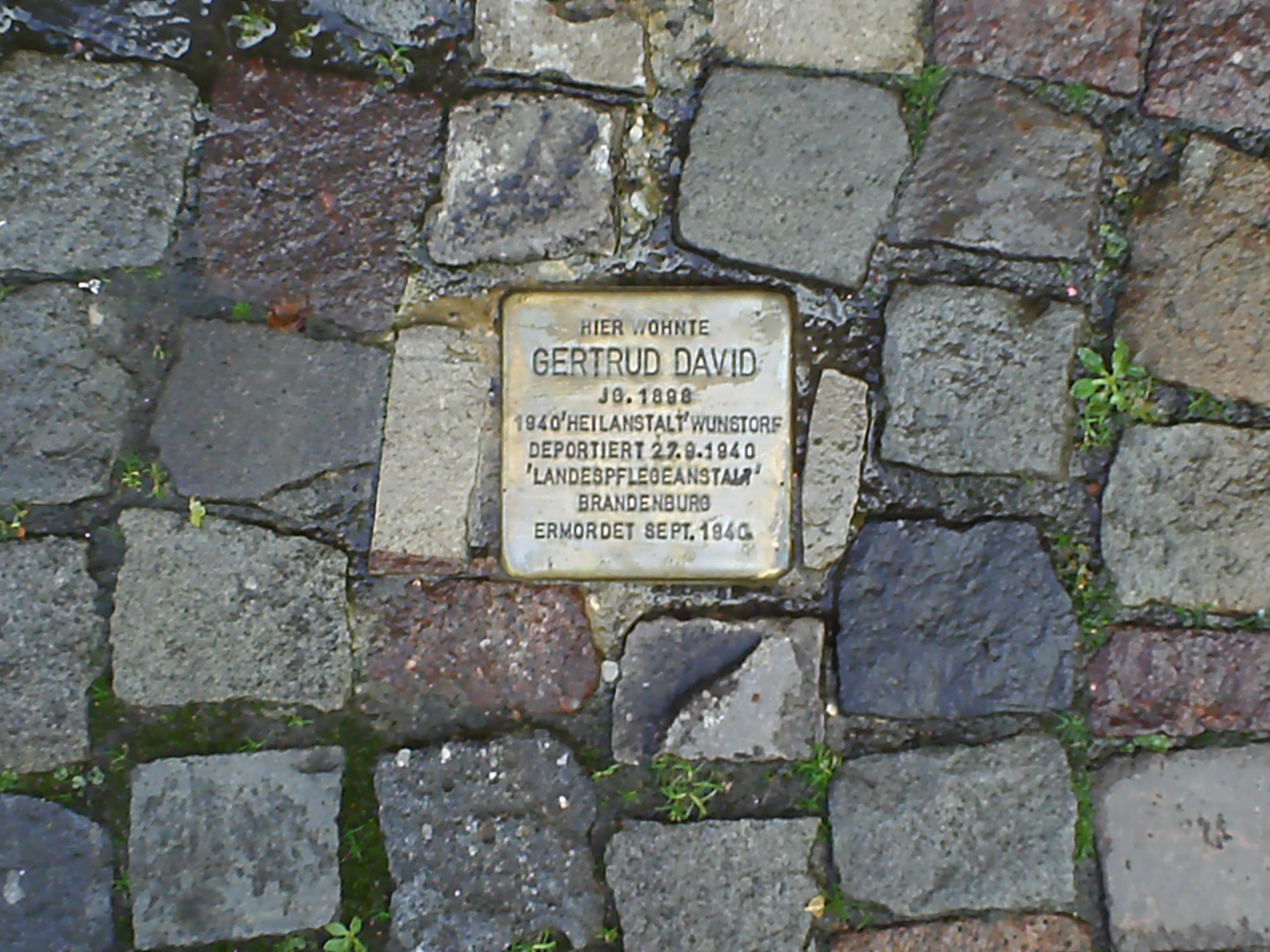 Historischer Ort: Stolperstein für Gertrud David